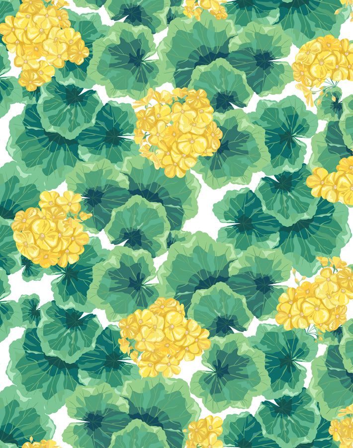 'Geranium' Wallpaper by Nathan Turner - Yellow