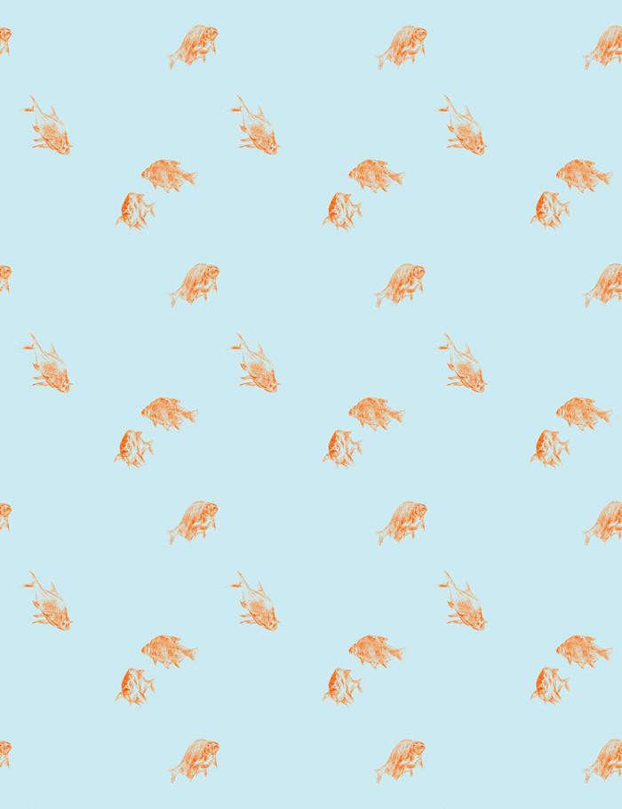'Goldfish' Wallpaper by Nathan Turner - Glacier