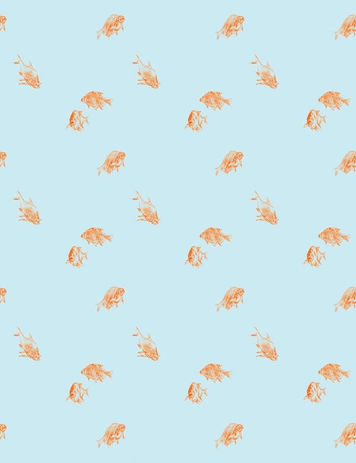 goldfish blue