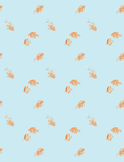 'Goldfish' Wallpaper by Nathan Turner - Glacier