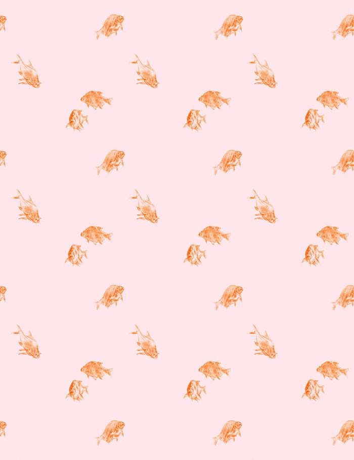 goldfish pink