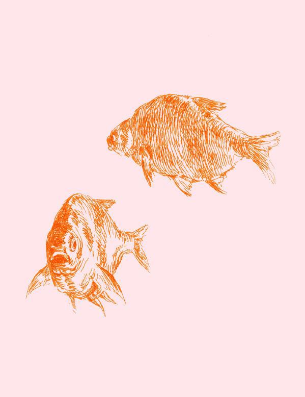 goldfish pink
