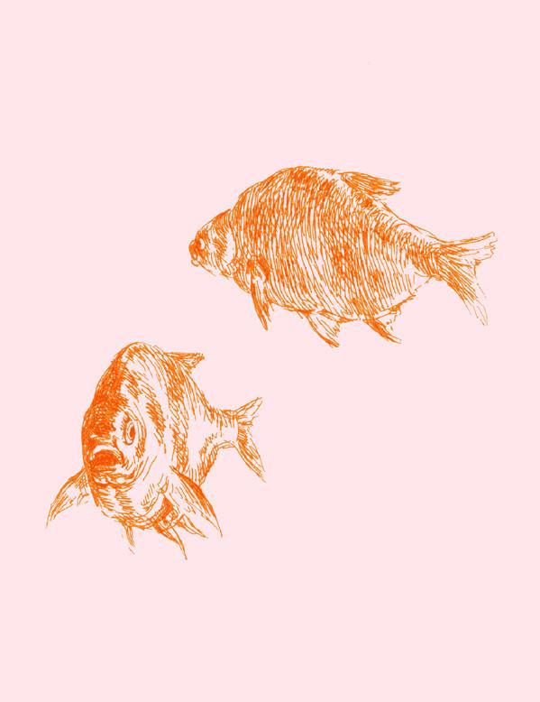 'Goldfish' Wallpaper by Nathan Turner - Pink