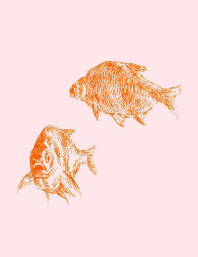 goldfish pink