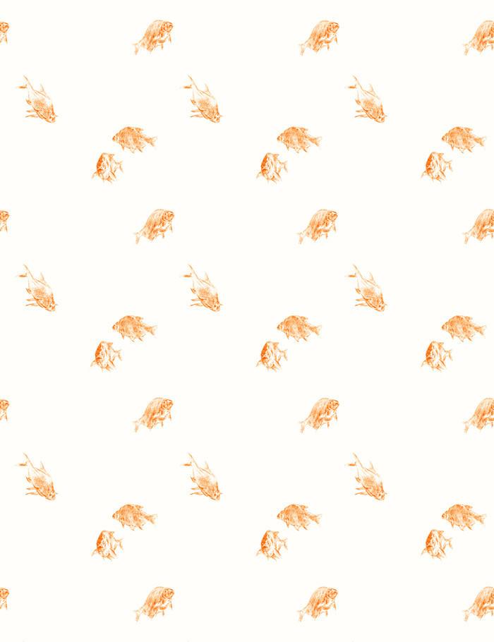 goldfish-white