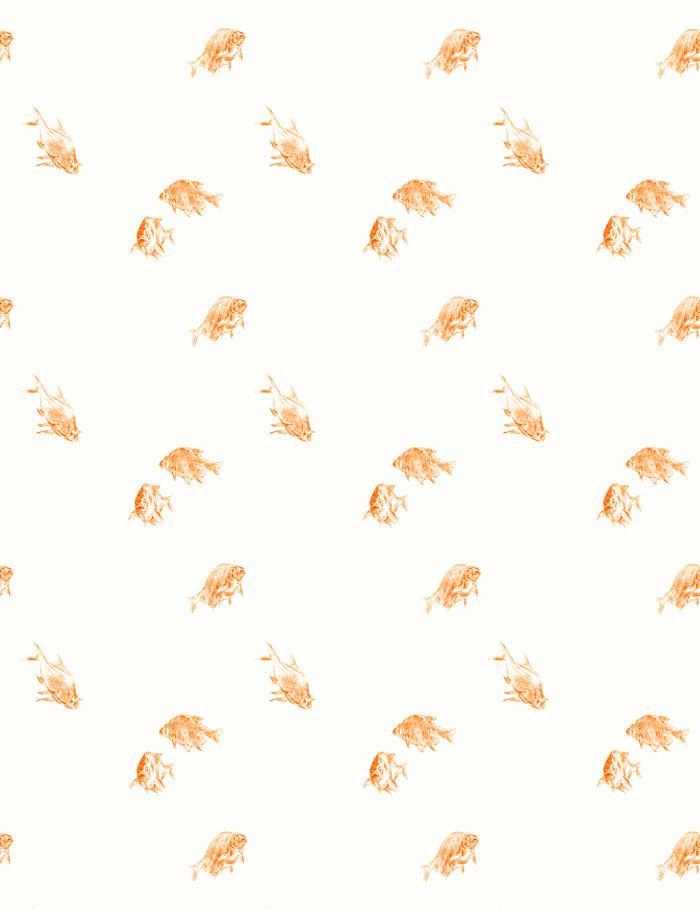 'Goldfish' Wallpaper by Nathan Turner - White