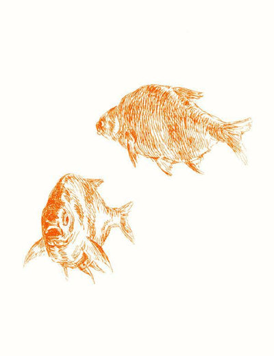 'Goldfish' Wallpaper by Nathan Turner - White