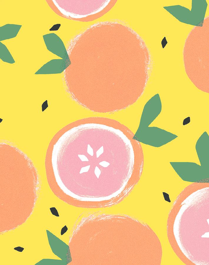 grapefruit daffodil