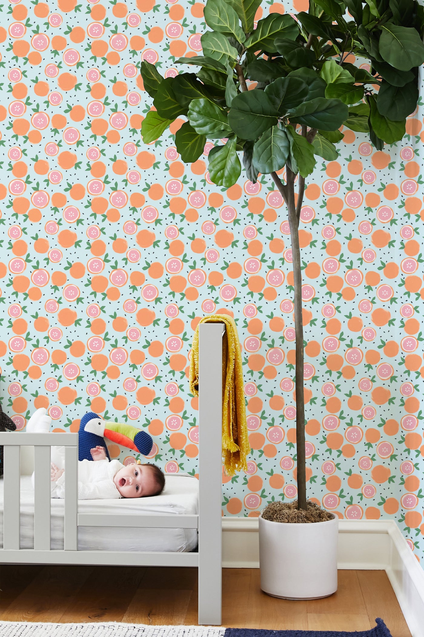 grapefruit pale blue