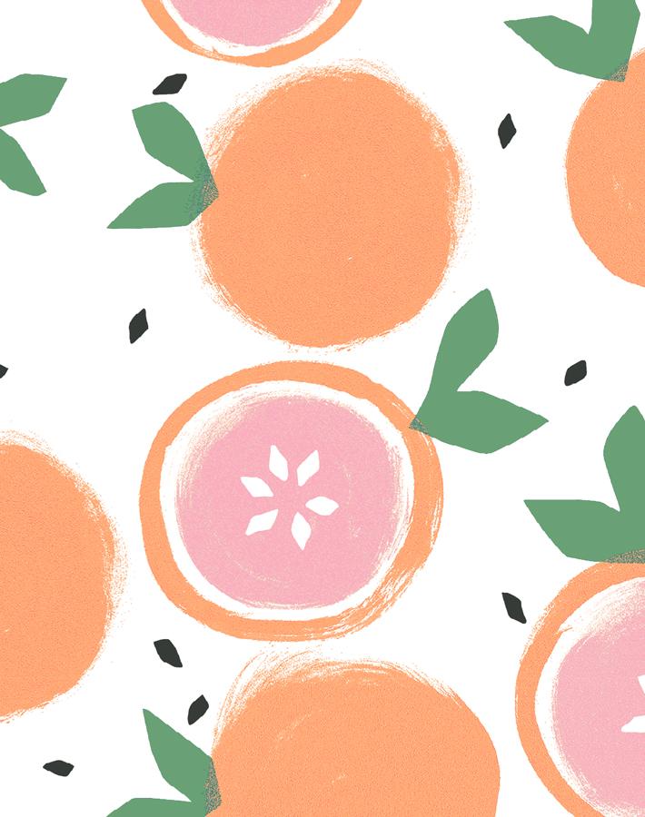 grapefruit-white