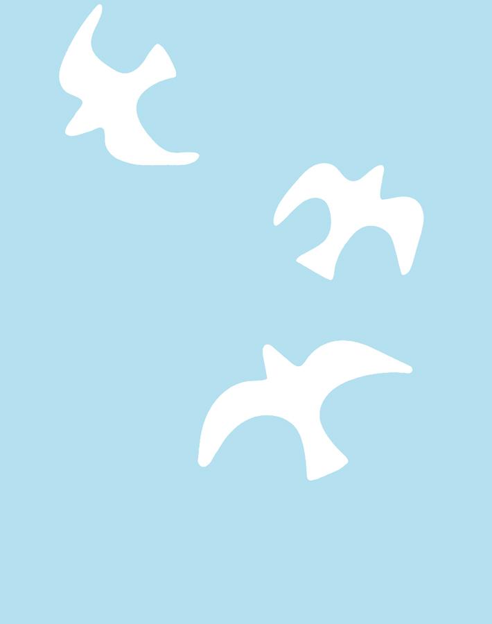 gulls-baby-blue