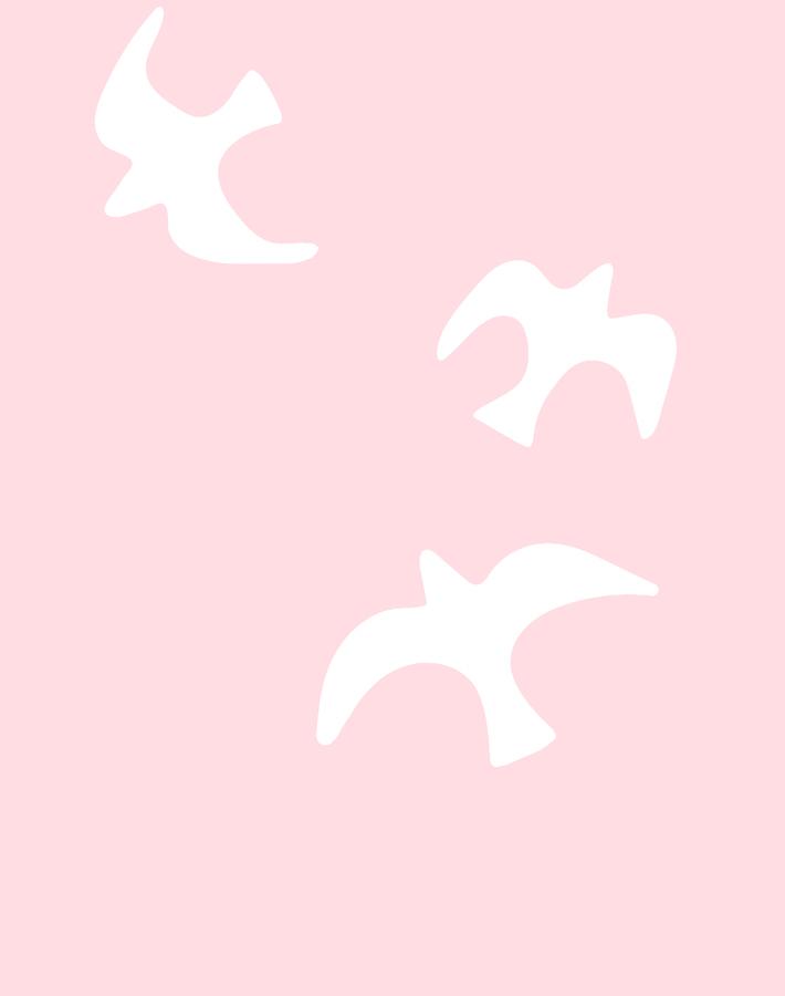 gulls-ballet-slipper