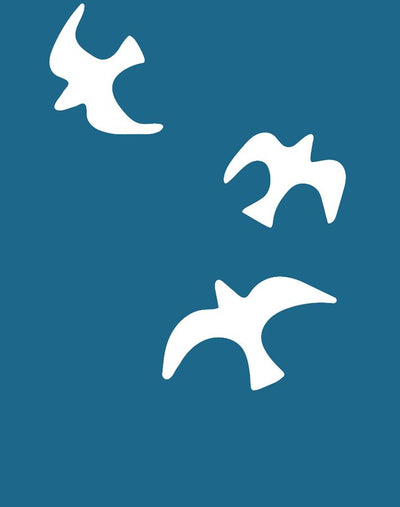 gulls cadet blue