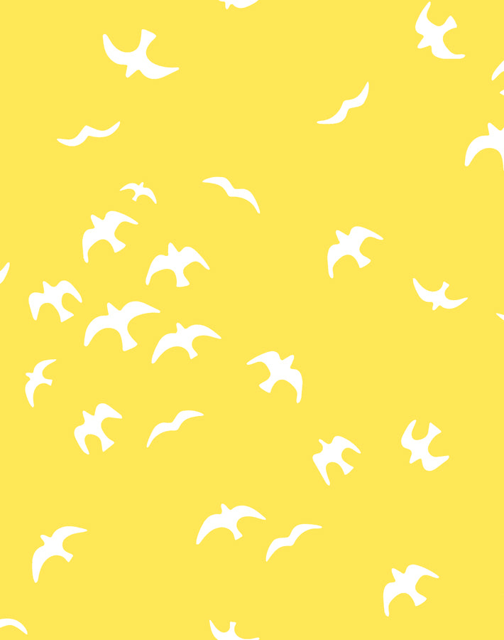 gulls-daffodil
