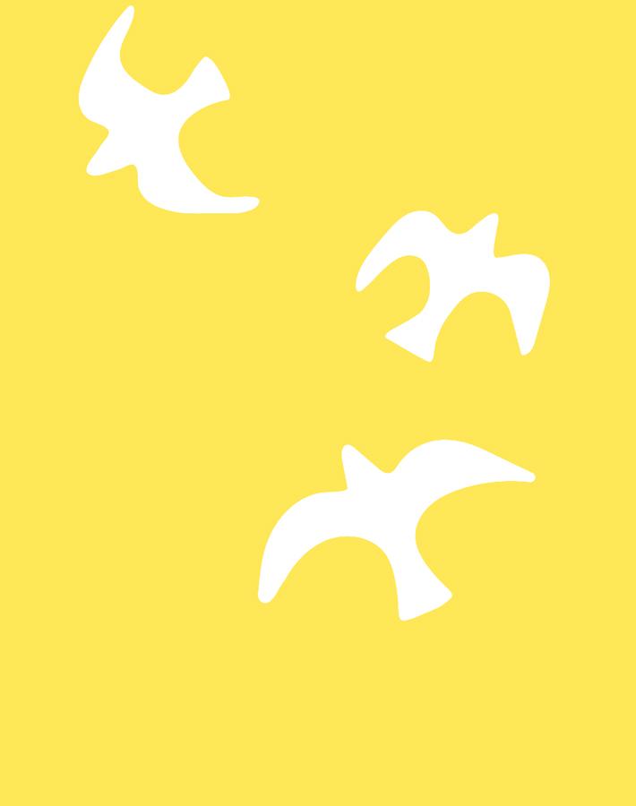 gulls-daffodil