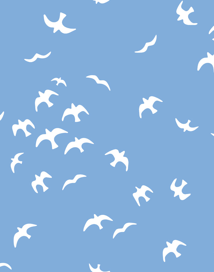 gulls-denim