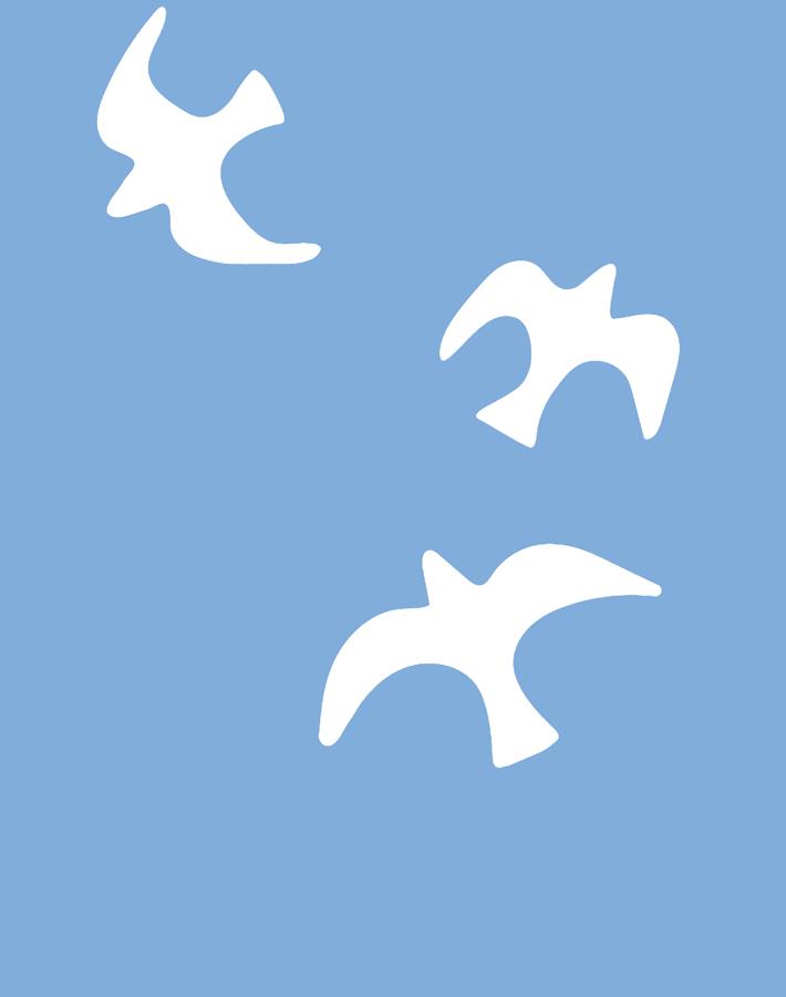 gulls-denim