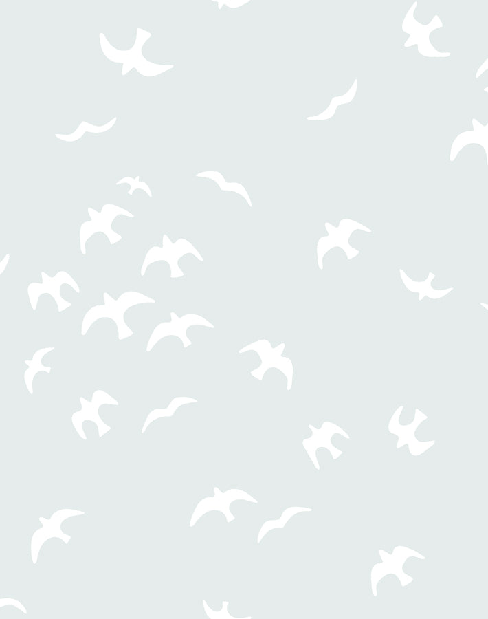 gulls fog