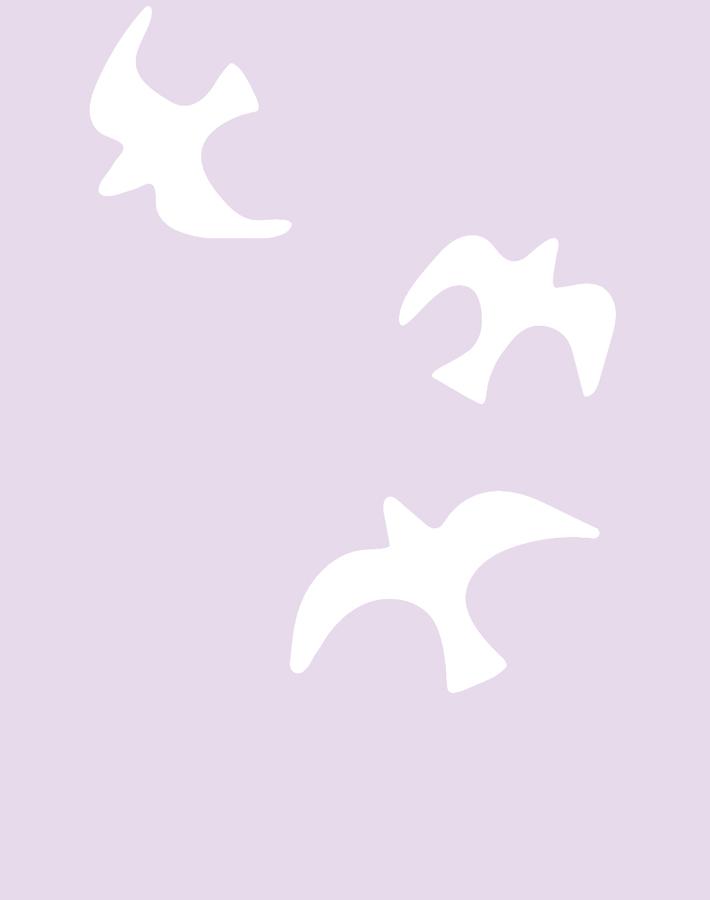gulls-lavender