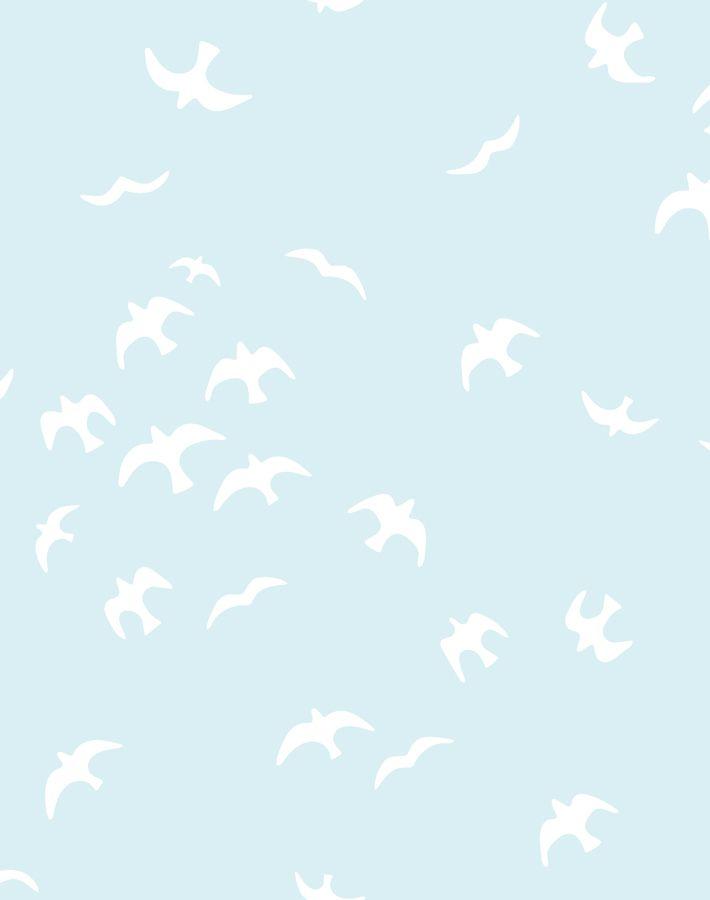 gulls pale blue