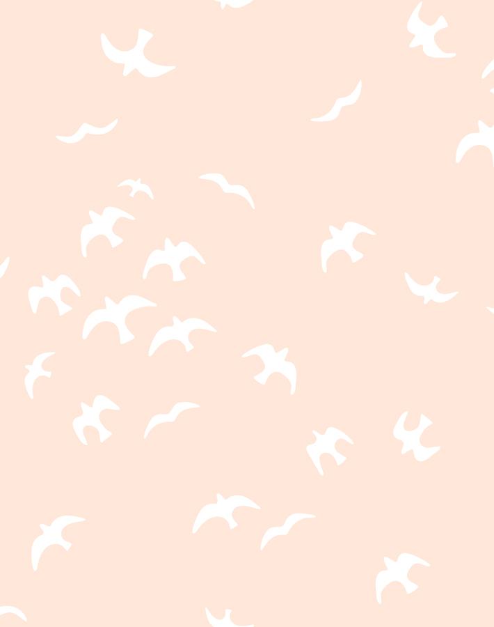 gulls-peach