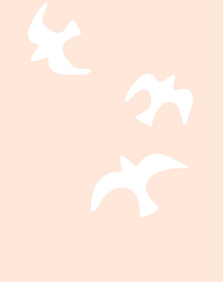 gulls-peach