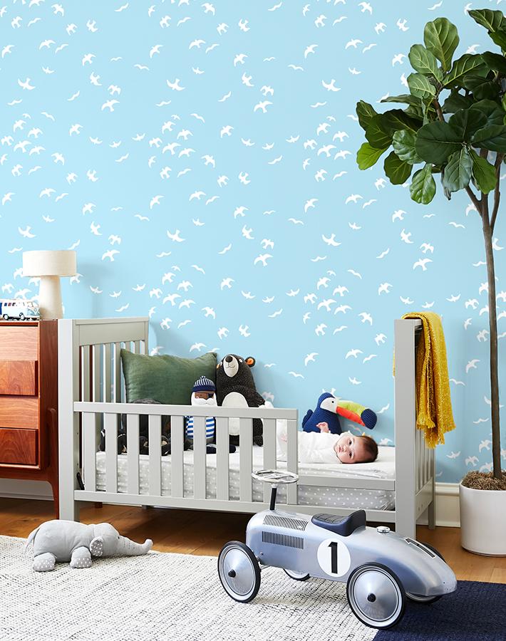 gulls-baby-blue