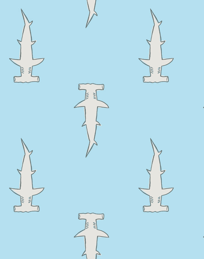 hammerheads baby blue