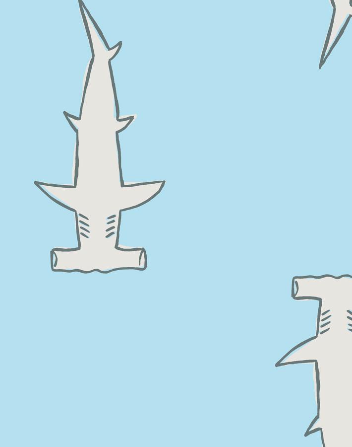 hammerheads baby blue