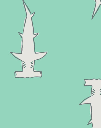 hammerheads caribbean