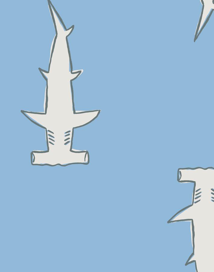 hammerheads-cornflower
