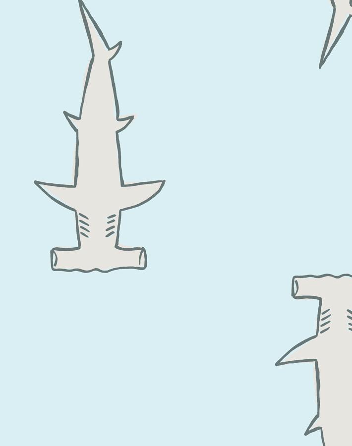 hammerheads-pale-blue