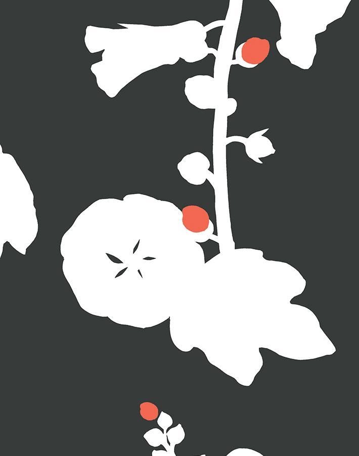hollyhock-charcoal