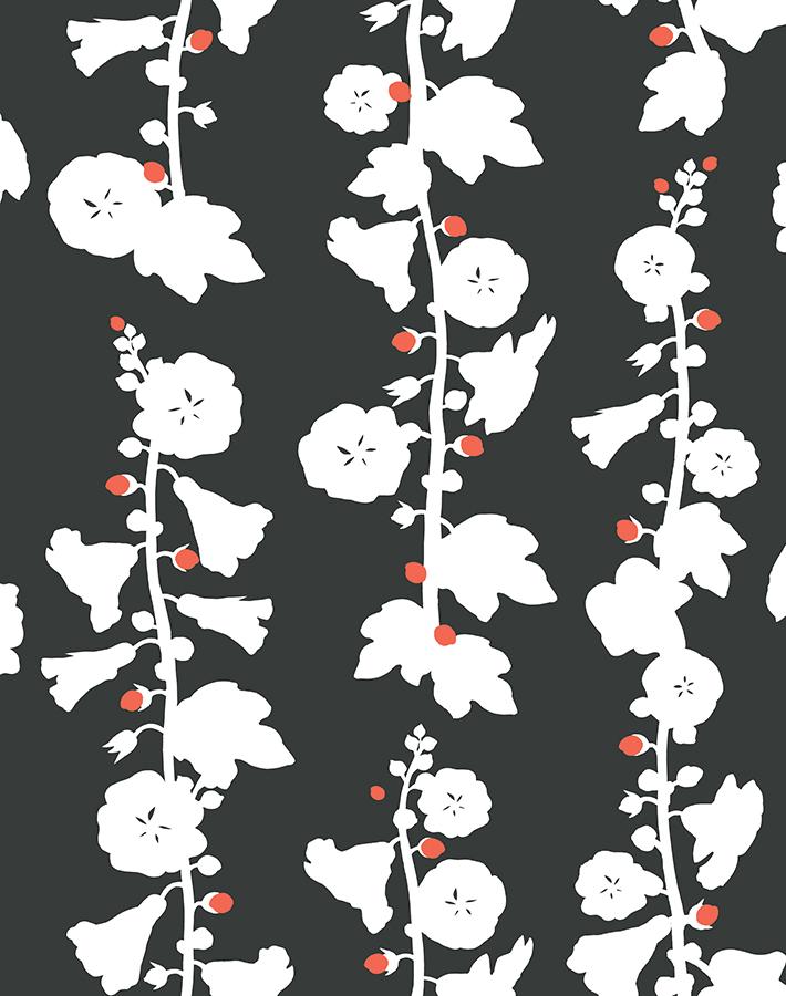 hollyhock-charcoal