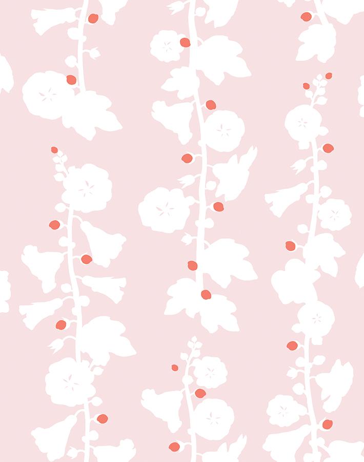 hollyhock-pink