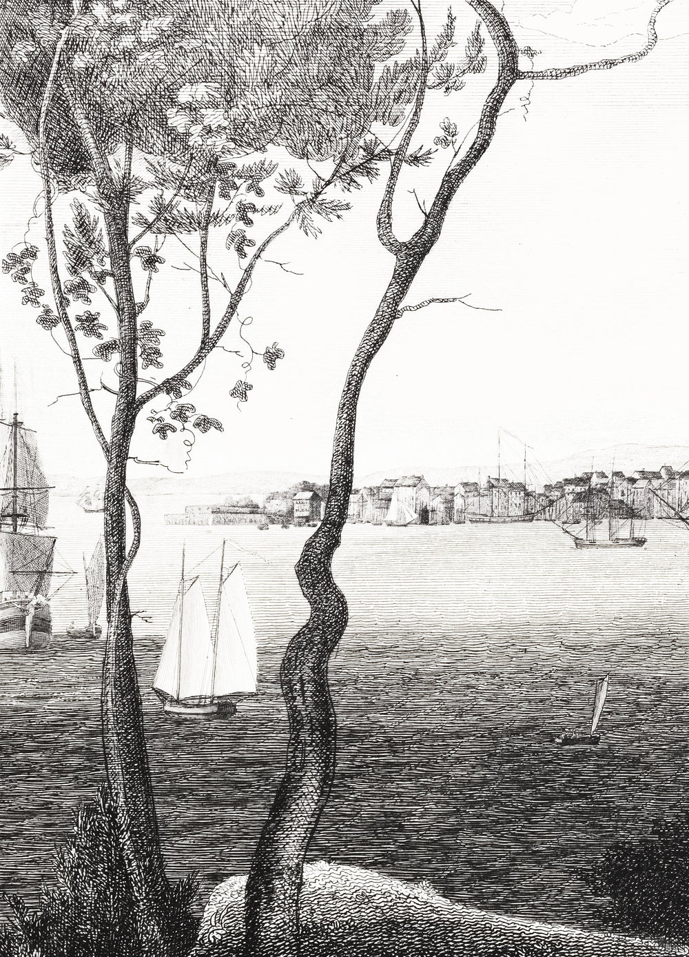 hudson bay etching removable mural