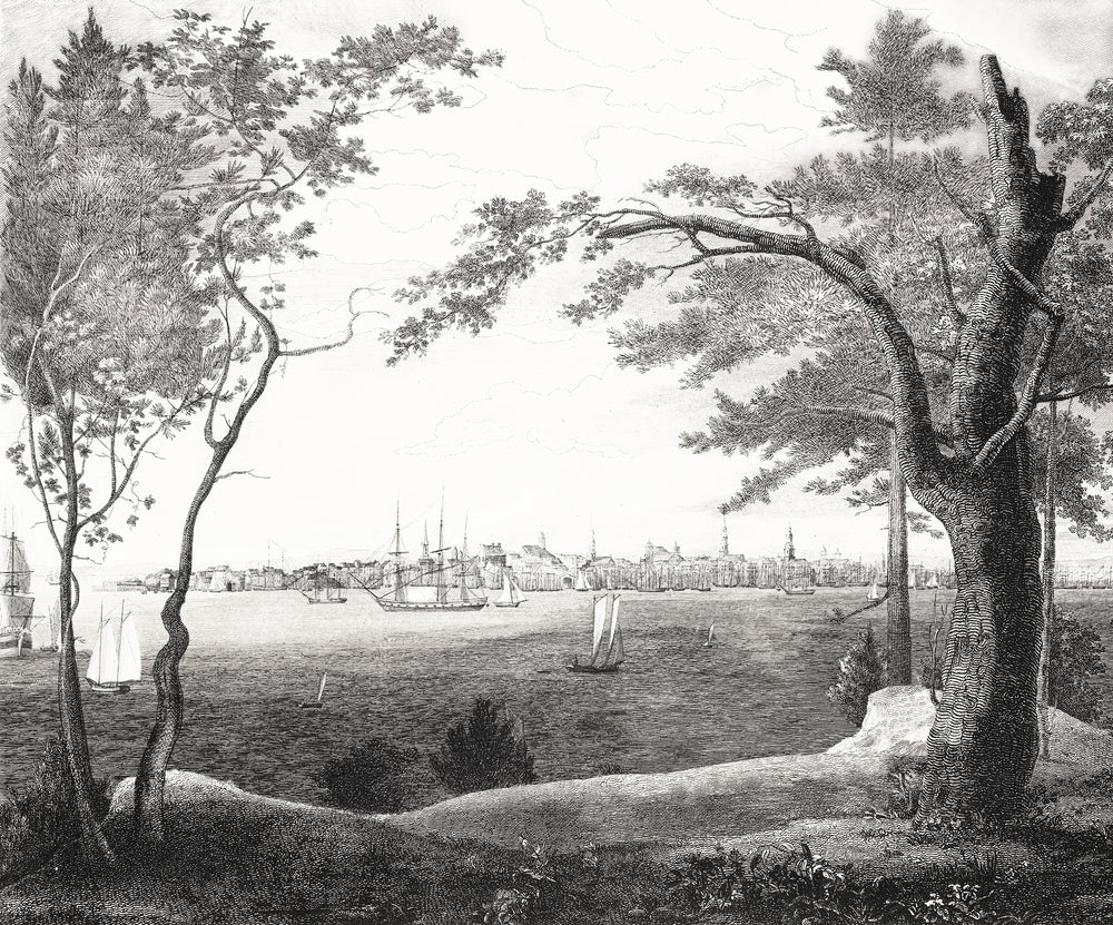 hudson bay etching removable mural