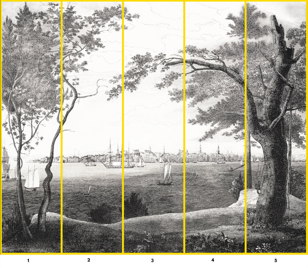 hudson bay etching removable mural