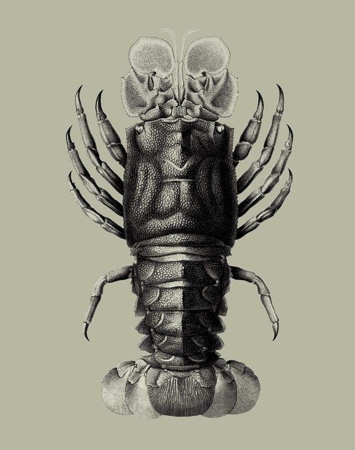 jack-the-crustacean-antique