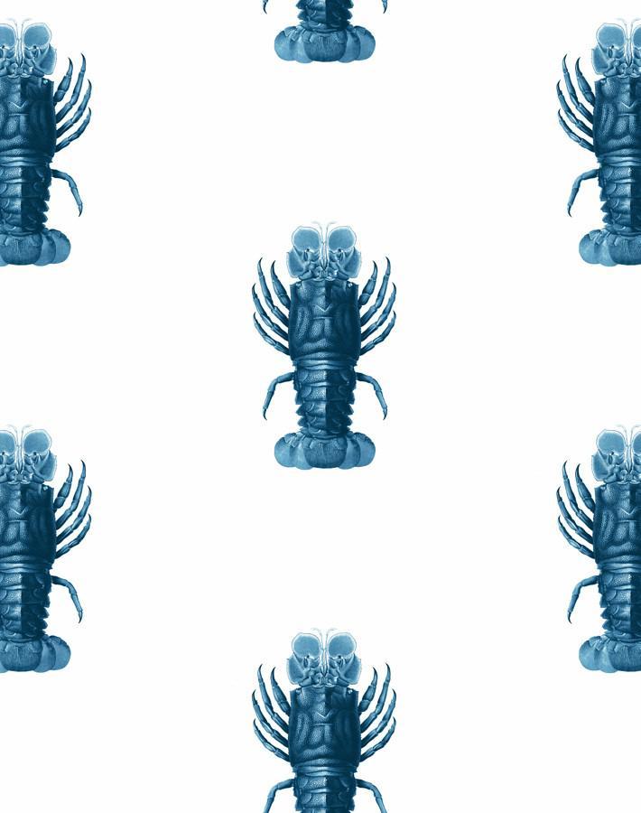 jack the crustacean blue