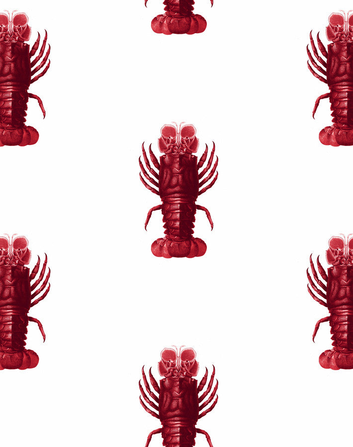jack-the-crustacean-red