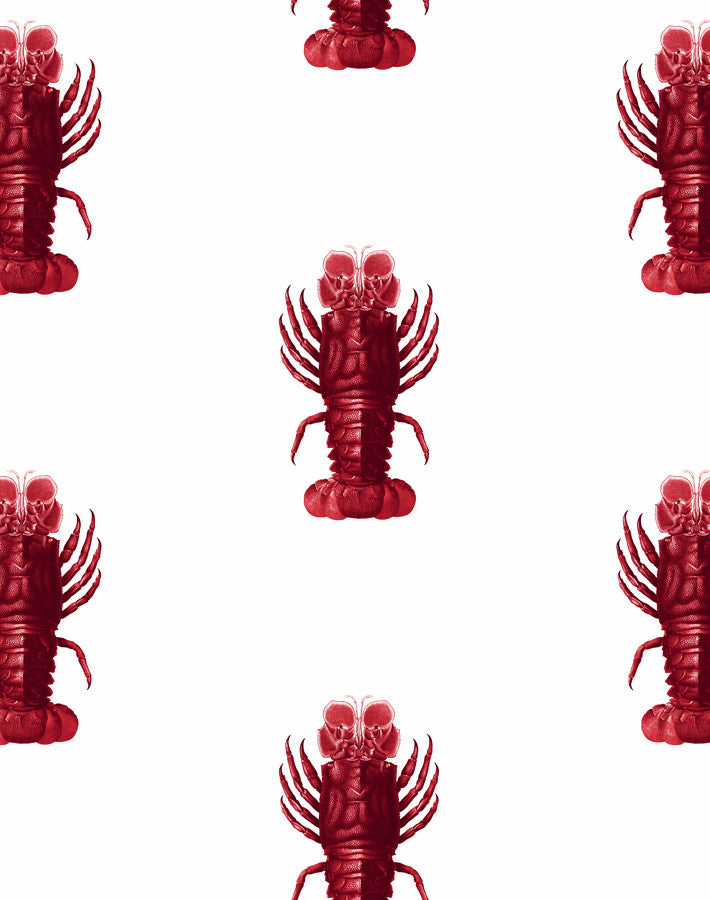 'Jack The Crustacean' Wallpaper by Wallshoppe - Red