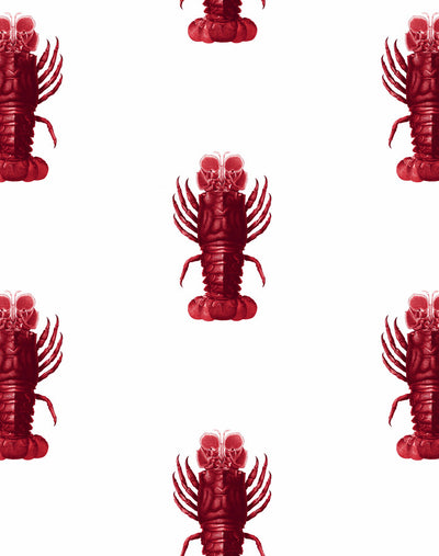 'Jack The Crustacean' Wallpaper by Wallshoppe - Red