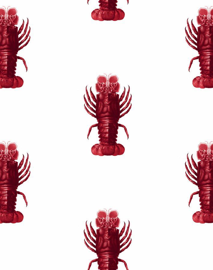 jack-the-crustacean-red