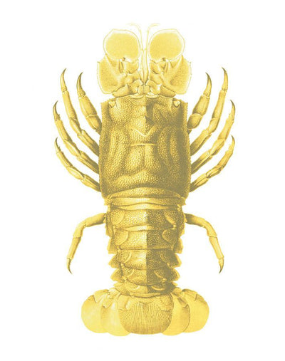 jack the crustacean yellow