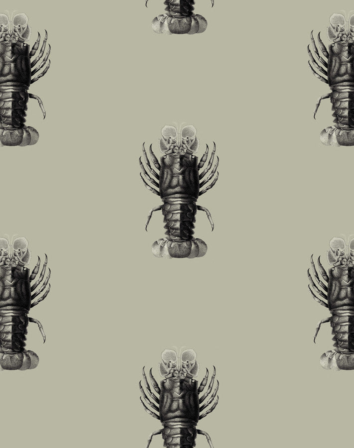 'Jack The Crustacean' Wallpaper by Wallshoppe - Antique