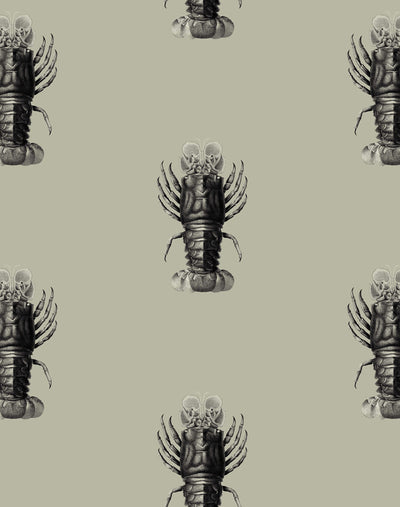 'Jack The Crustacean' Wallpaper by Wallshoppe - Antique