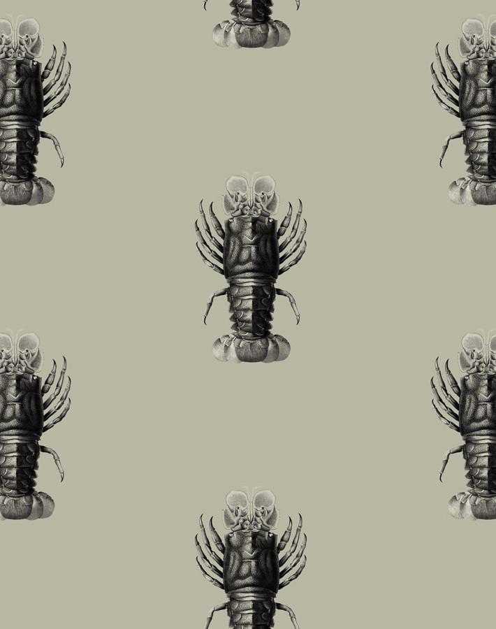 jack-the-crustacean-antique