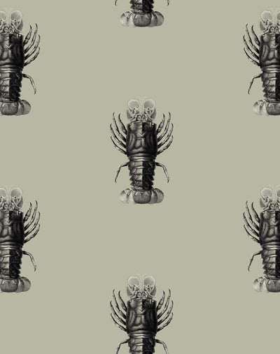 'Jack The Crustacean' Wallpaper by Wallshoppe - Antique