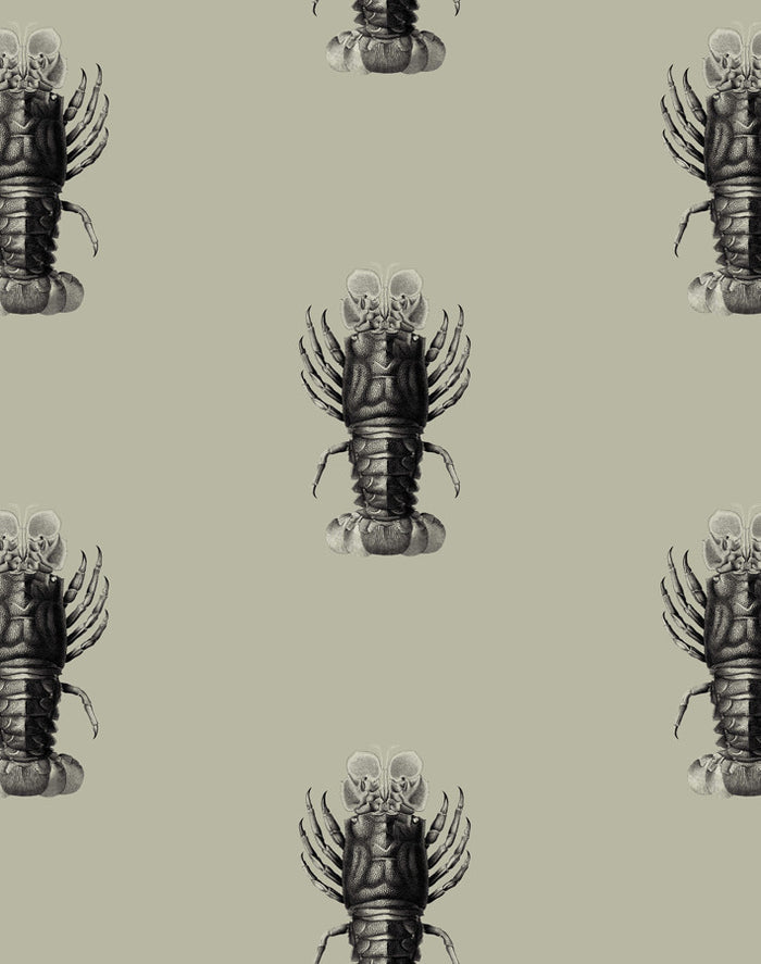 'Jack The Crustacean' Wallpaper by Wallshoppe - Antique